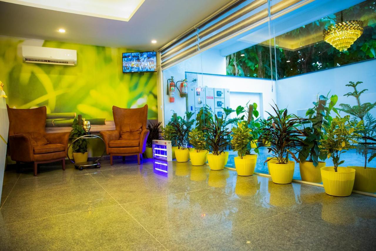 Lime Tree Luxury Studio - Service Apartment Near Artemis Hospital ,Γκουργκάον Εξωτερικό φωτογραφία